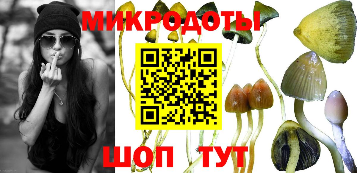 Псилоцибиновые грибы мухоморы Урай